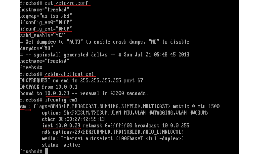 freebsd-dhcp-result
